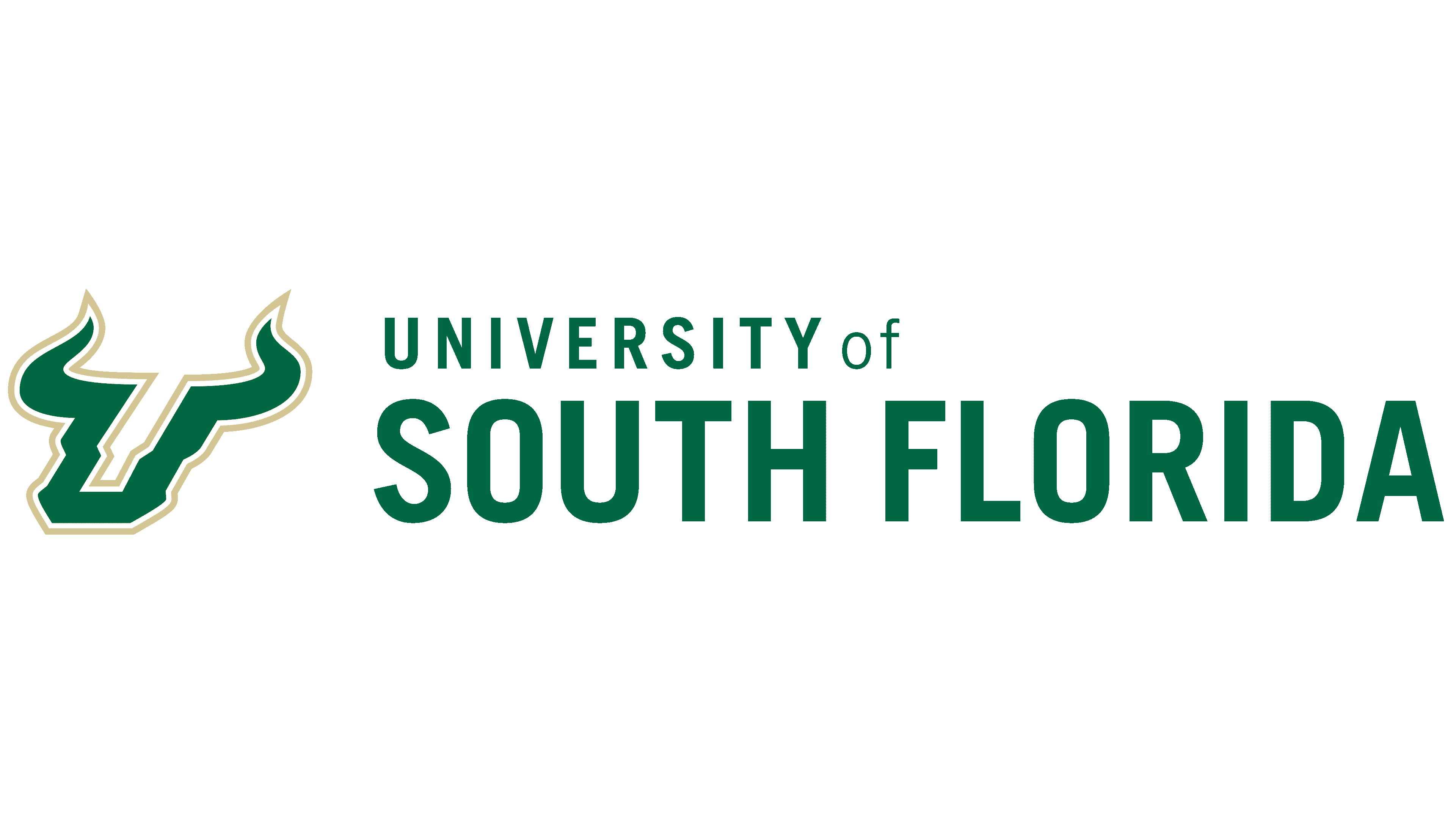University of South Florida